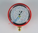 Pressure gauges Refco PM2-300-DS-R22