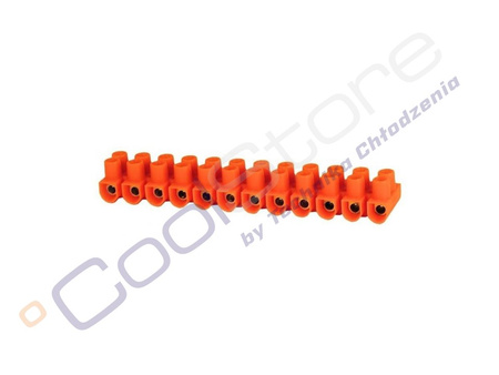Terminal block 1 - 2.5 mm2 12-track
