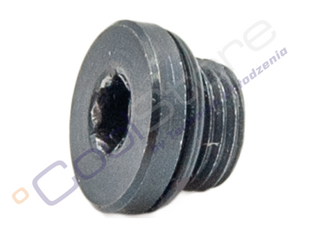 Oil drain plug to vacuum pump Value